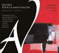 Maxime Zecchini volume 3